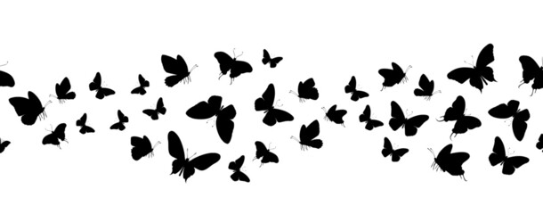 Seamless flock of silhouette black butterflies on white background. Vector