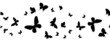 © suns07butterfly - Seamless flock of silhouette black butterflies on white background. Vector
