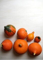 Poster - Orange pumpkins on white background with copy space