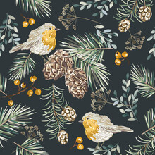 Christmas Seamless Pattern, Robin Birds,  Berries, Fir Twigs, Cedar Cones, Black Background. Vector Illustration. Nature Design. Season Greeting. Winter Xmas Holidays
