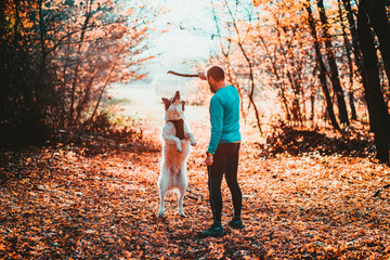 Wall Mural - happy dog and man playing in autumn forest