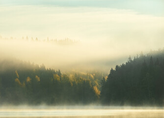  morning mist on the rive
