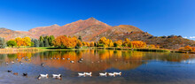 Panoramic View Of Scenic Mountain Lake With Colorful Autumn Trees, Wasatch Mountains And Wild Ducks At Wasatch Mountain State Park In Utah.