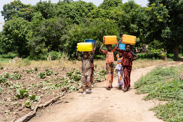 Group of black African children with heavy water canisters on their heads on a sunlit sandy path in the middle of vegetable fields; child labour concept