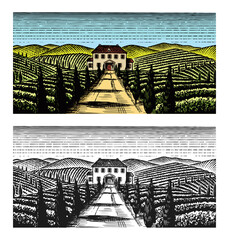 Wall Mural - Scenic view of vineyards. Fields and hills of Tuscany. Panoramic vine plantation iand the road to the village house. French or Italian engraved landscape. Hand drawn monochrome vintage sketch.