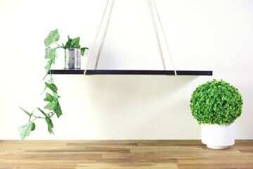 Floating Shelf