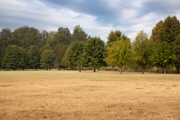 a broad view of an open brown grass field in the foreground with rows of green trees in the backgrou