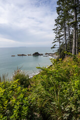 Wall Mural - Kalaloch Beach 4