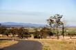 © Austockphoto - Bend in a country road with dairy cattle in farm paddock beside