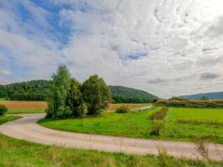 Canvas Print - Landscape of unpaved road on the meadow under a cloudy sky