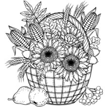 Autumn Harvest In A Basket For Thanksgiving Day. Vector Coloring Page For Adult. Black And White Basket With Leaves, Sunflower, Corn, Apple, Pear, Acorn And Pumpkin