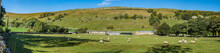 Flock Of Sheep In Bishopdale ,Yorkshire Dales National Park. 
