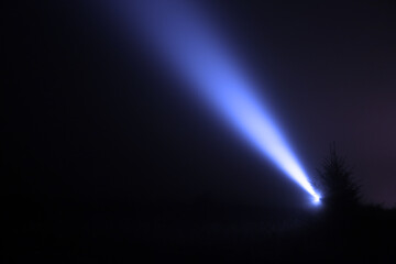 Wall Mural - night sky lit by bright beam of flashlight in forest