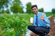 Young indian agronomist showing smart phone with farmer at green chilly field.