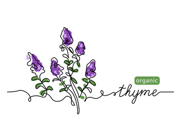 Poster - Thyme simple vector sketch drawing. One continuous line art drawing illustration for label design with lettering thyme