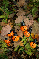 Poster - pumpkins jack-o' lantern garlands on autumn leaves and grass, forest natural background. symbol of Halloween holiday, Samhain sabbat. festive fall season