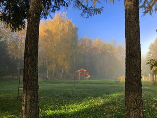 Wall Mural - Foggy morning in the city autumn park.