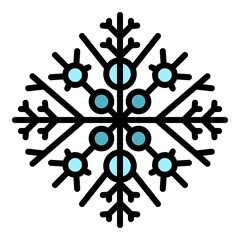 Poster - December snowflake icon. Outline december snowflake vector icon color flat isolated