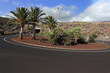 Kreisel, Straße, Kreisverkehr, La Palma, Insel, Urlaub, Palmen