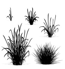 Various Tufts Grass Elements Silhouettes