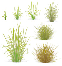 Various Tufts Of Grass Elements