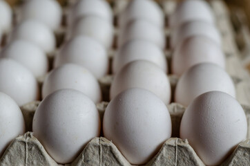 Close-up of a tray with white chicken eggs. Several dozen raw eg