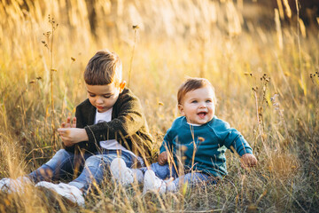 Wall Mural - Two little baby brothers sitting together in field