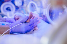 Macro Photo Of Doctor's Hands And Legs Of A Child. Newborn Is Placed In The Incubator. Neonatal Intensive Care Unit