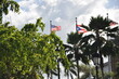 Puerto Rico flags in the wind