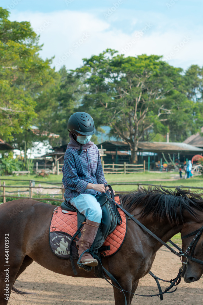 hijab equestrian