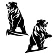 majestic bear standing on cliff top with one paw up in the air - black and white vector outline of wild animal