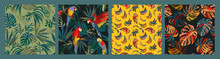 Set Of Abstract Tropical Seamless Patterns. Parrots, Bananas, Tropical Plants. Modern Exotic Design