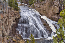 View Of Gibbon Falls Of The Yellowstone Park, WY, USA