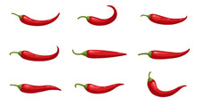 Vector Set Of Realistic Hot Chilli Peppers, Large Chilly Pepper Collection Isolated On White. Flat Vector Illustration, Cartoon Style Vegetables.