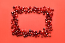 Frame Made Of Tasty Fresh Cranberries On Color Background