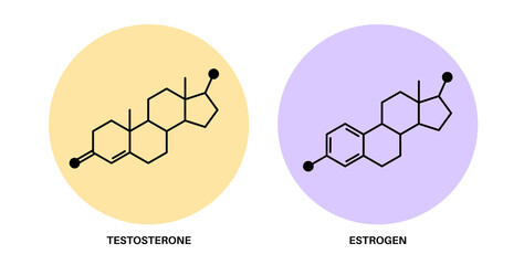 Sticker - Testosterone and estrogen