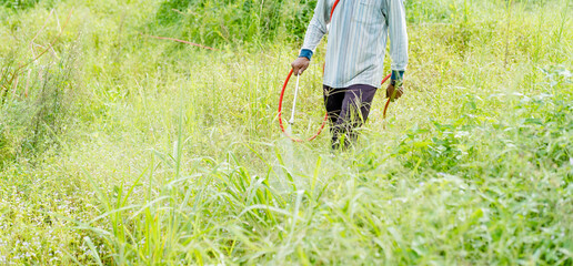Wall Mural - Man crop spraying grass field in the durian farm field with chemical killer plant.Farmer spraying pesticide.Herbicide, Agriculture chemicals, Farm with worker in thailand.Grass killer.sprayer crop.