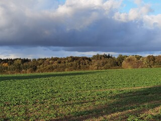 Wall Mural - clouds over the field