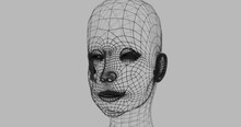 3d Wireframe Head
