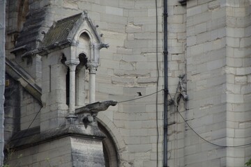 Wall Mural - cathedral of notre dame de city