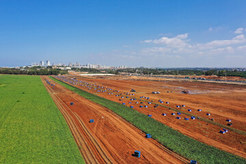 Pallets of Fresh dug Sweet Potatoes in a field.