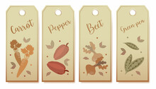 Vegetable Seeds Packets Template. Vegetables Tags Design Elements Organic Eco Food Vintage Vegetable Collection Vector
