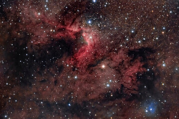 Wall Mural - the light, the dark, and the dusty sh2-155