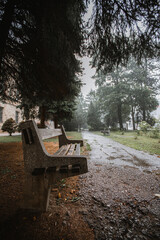 Poster - Vertical shot of an old empty wooden branch in the park surrounded by trees on a rainy day