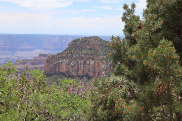 Poster - Scenic view of rugged layered rock landscape at Grand Canyon National Park, USA