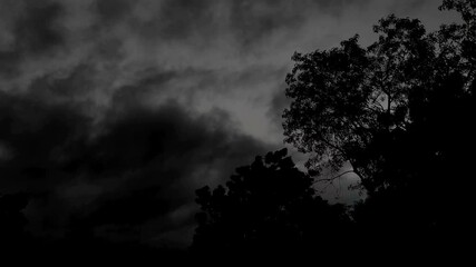 Wall Mural - a scenic shot of moody, rainy, and stormy clouds in the forest in black and white colors