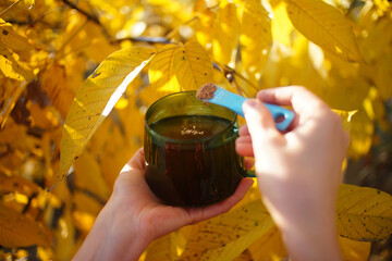 Sticker - hands holding a cup of reishi mushrooms tea, outdoor with yellow leaves around, autumn tea mood