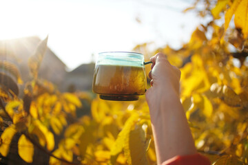 Wall Mural - hands holding a cup of reishi mushrooms tea, outdoor with yellow leaves around, autumn tea mood