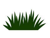 Fototapeta Konie - Grass pattern, lawn, sticker, blades of grass, turf 