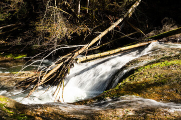 Wall Mural - Wasserfall mit Totholz